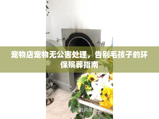 宠物店宠物无公害处理，告别毛孩子的环保殡葬指南