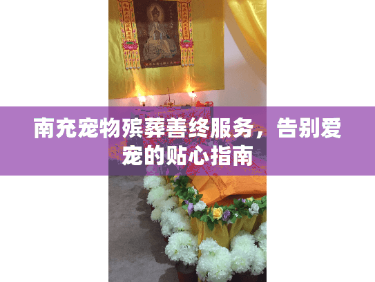 南充宠物殡葬善终服务，告别爱宠的贴心指南