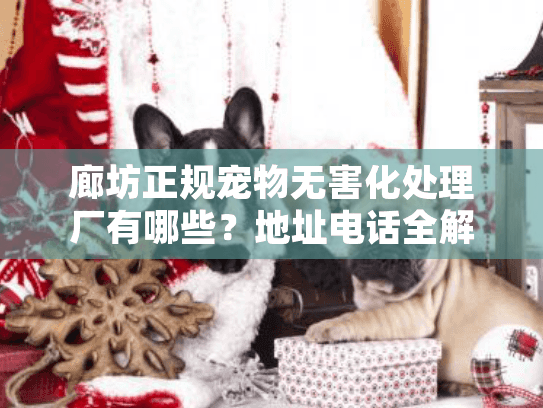 廊坊正规宠物无害化处理厂有哪些？地址电话全解析