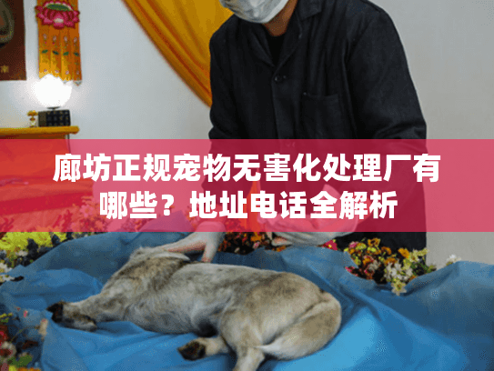 廊坊正规宠物无害化处理厂有哪些？地址电话全解析