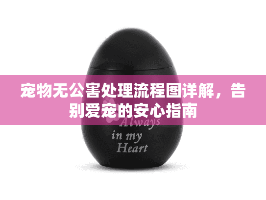 宠物无公害处理流程图详解，告别爱宠的安心指南