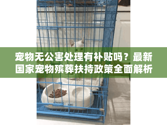 宠物无公害处理有补贴吗？最新国家宠物殡葬扶持政策全面解析