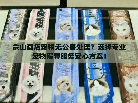 佘山酒店宠物无公害处理？选择专业宠物殡葬服务安心方案！