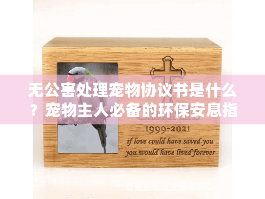 无公害处理宠物协议书是什么？宠物主人必备的环保安息指南