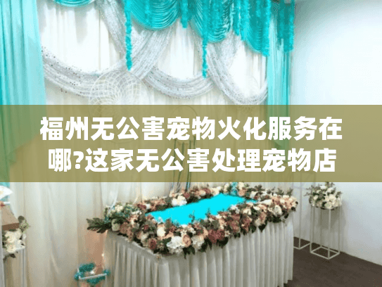 福州无公害宠物火化服务在哪?这家无公害处理宠物店值得托付