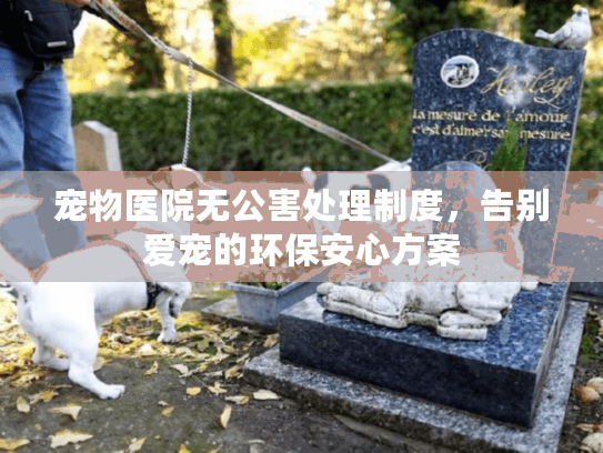 宠物医院无公害处理制度，告别爱宠的环保安心方案