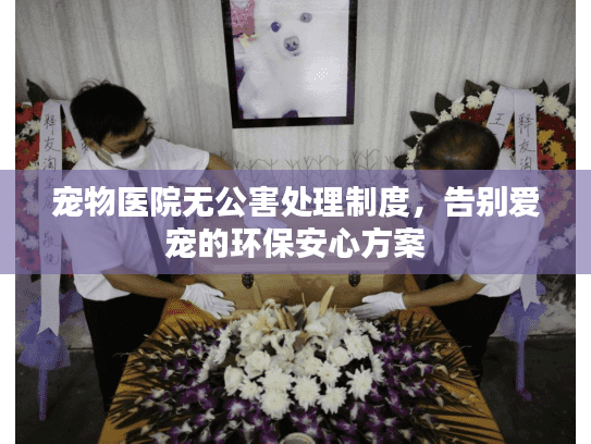 宠物医院无公害处理制度，告别爱宠的环保安心方案