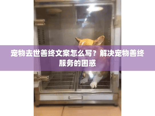 宠物去世善终文案怎么写？解决宠物善终服务的困惑