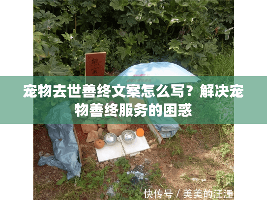 宠物去世善终文案怎么写？解决宠物善终服务的困惑