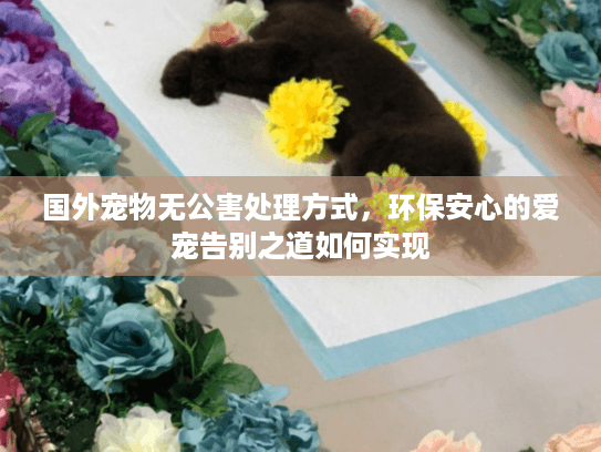 国外宠物无公害处理方式，环保安心的爱宠告别之道如何实现