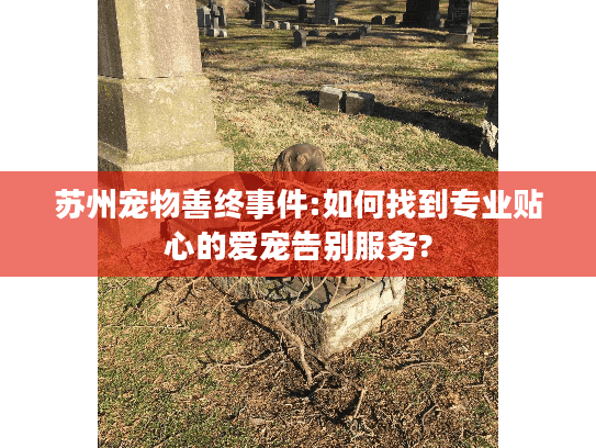 苏州宠物善终事件:如何找到专业贴心的爱宠告别服务?