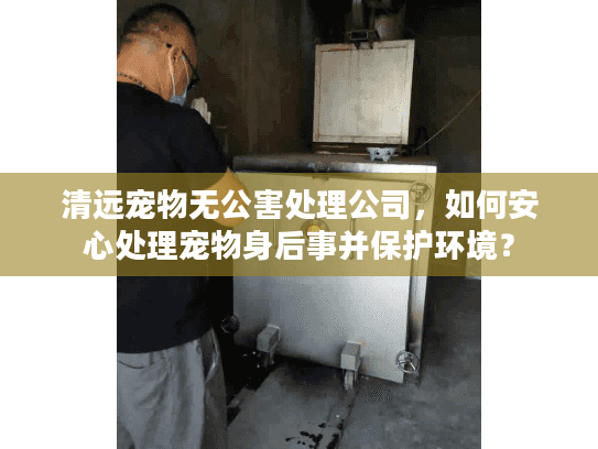 清远宠物无公害处理公司，如何安心处理宠物身后事并保护环境？