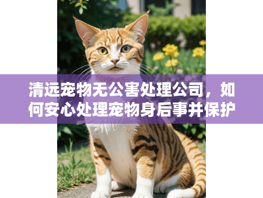 清远宠物无公害处理公司，如何安心处理宠物身后事并保护环境？