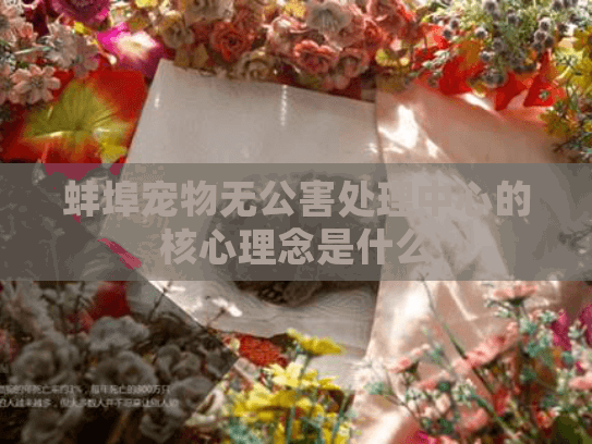 蚌埠宠物无公害处理中心的核心理念是什么