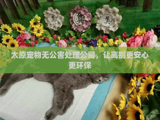 太原宠物无公害处理公司，让离别更安心更环保