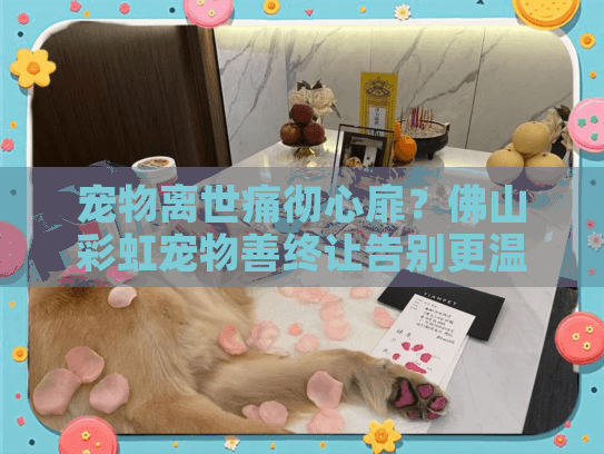 宠物离世痛彻心扉？佛山彩虹宠物善终让告别更温暖