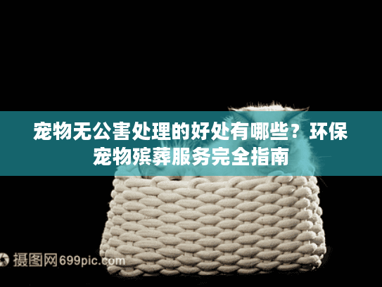 宠物无公害处理的好处有哪些？环保宠物殡葬服务完全指南
