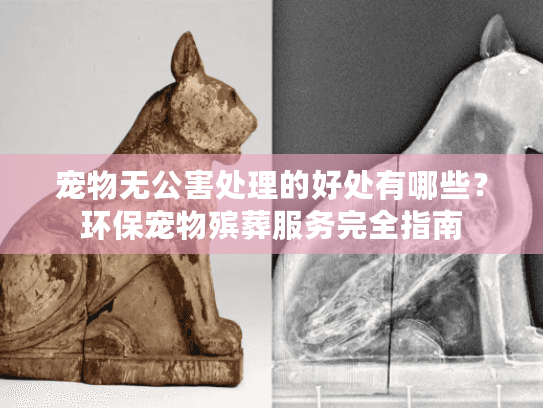 宠物无公害处理的好处有哪些？环保宠物殡葬服务完全指南