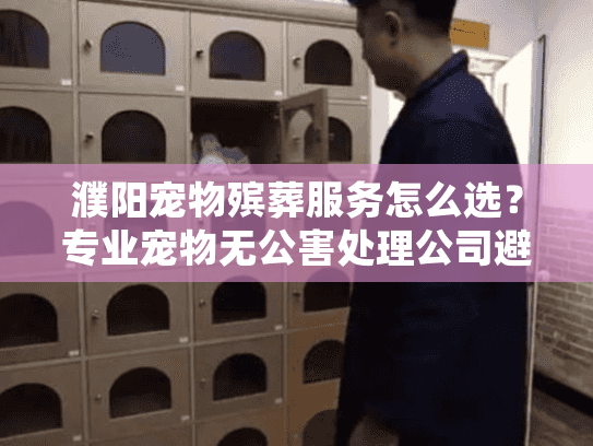 濮阳宠物殡葬服务怎么选？专业宠物无公害处理公司避坑指南