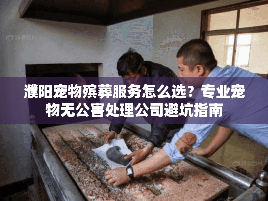 濮阳宠物殡葬服务怎么选？专业宠物无公害处理公司避坑指南