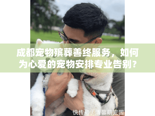 成都宠物殡葬善终服务，如何为心爱的宠物安排专业告别？