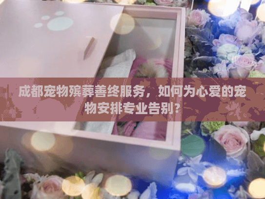 成都宠物殡葬善终服务，如何为心爱的宠物安排专业告别？