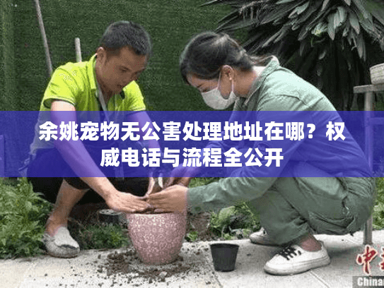 余姚宠物无公害处理地址在哪？权威电话与流程全公开