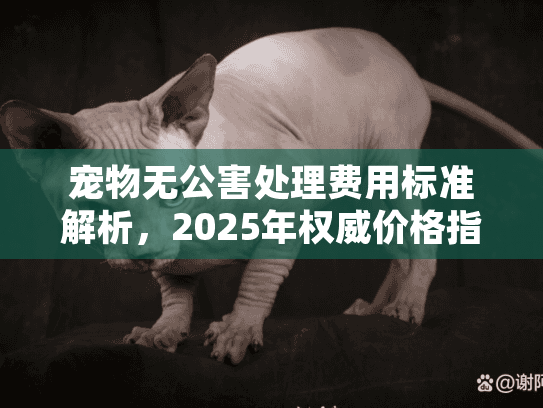 宠物无公害处理费用标准解析，2025年权威价格指南