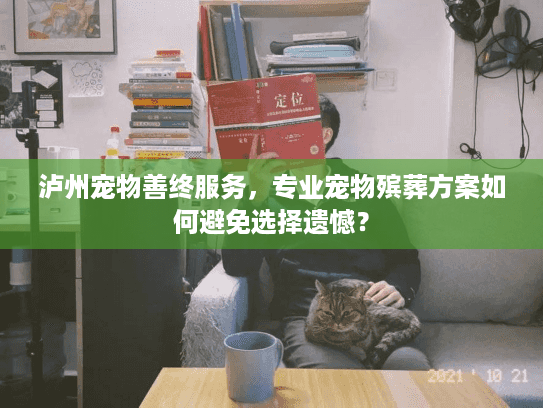 泸州宠物善终服务，专业宠物殡葬方案如何避免选择遗憾？