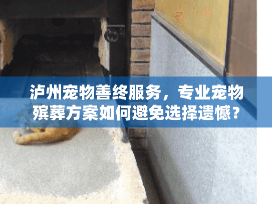 泸州宠物善终服务，专业宠物殡葬方案如何避免选择遗憾？