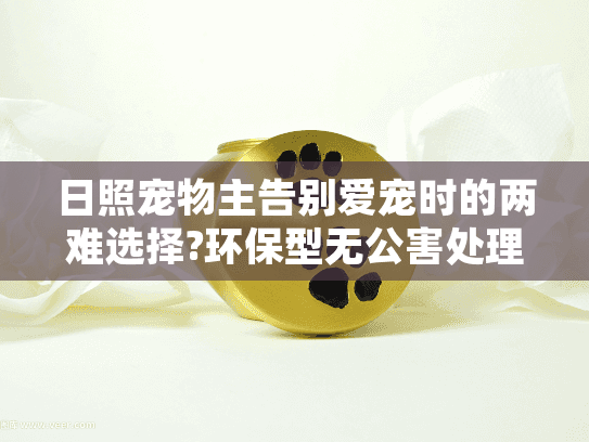日照宠物主告别爱宠时的两难选择?环保型无公害处理方案来了