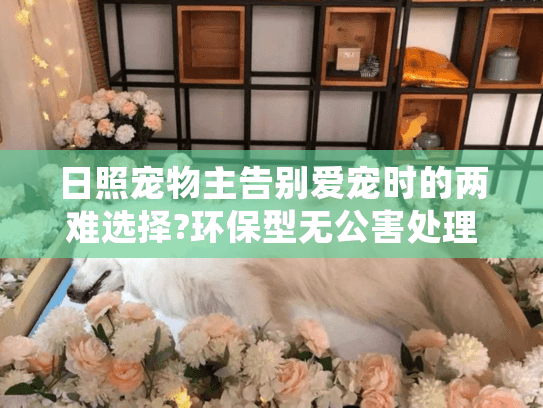 日照宠物主告别爱宠时的两难选择?环保型无公害处理方案来了