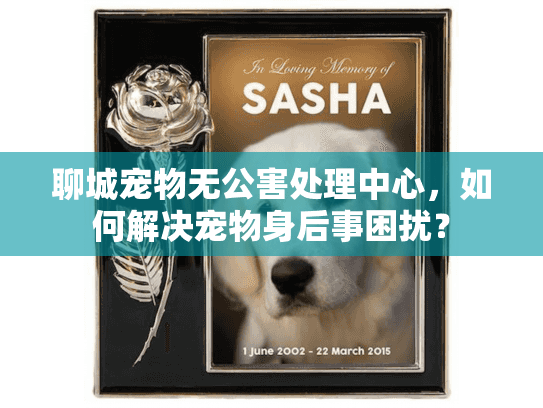 聊城宠物无公害处理中心，如何解决宠物身后事困扰？