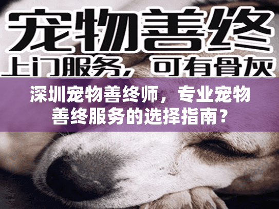 深圳宠物善终师，专业宠物善终服务的选择指南？