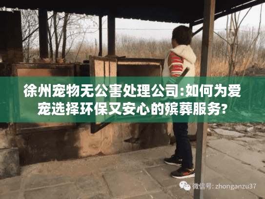 徐州宠物无公害处理公司:如何为爱宠选择环保又安心的殡葬服务?