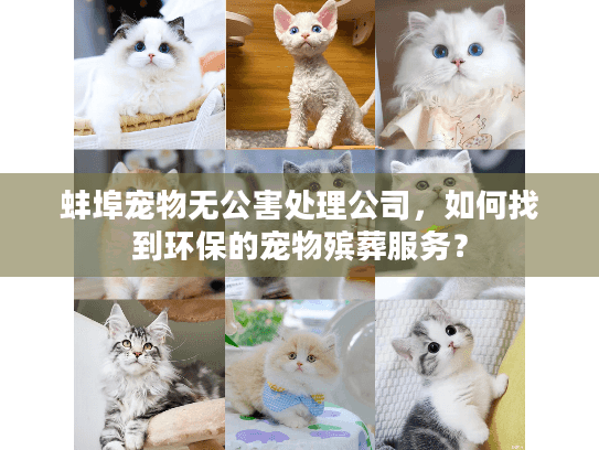 蚌埠宠物无公害处理公司，如何找到环保的宠物殡葬服务？
