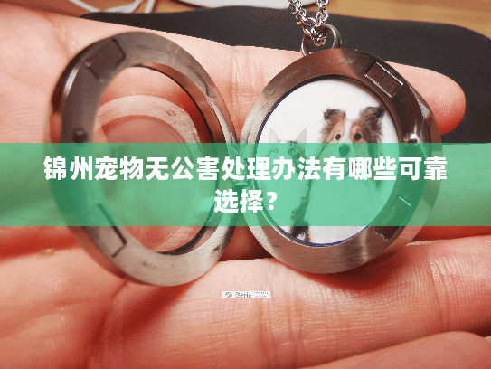 锦州宠物无公害处理办法有哪些可靠选择？