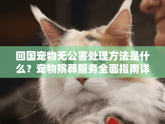 回国宠物无公害处理方法是什么？宠物殡葬服务全面指南详解