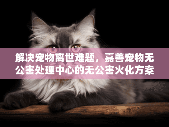 解决宠物离世难题，嘉善宠物无公害处理中心的无公害火化方案