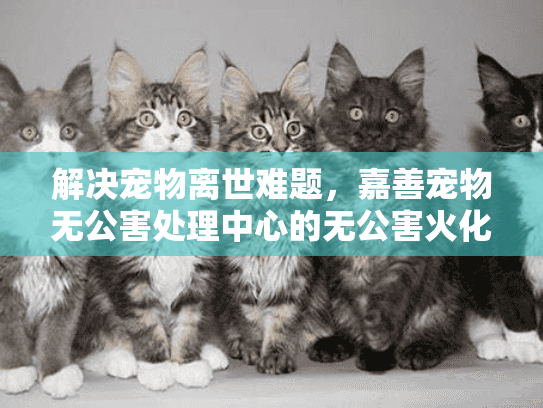 解决宠物离世难题，嘉善宠物无公害处理中心的无公害火化方案