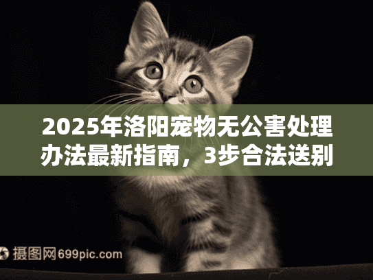 2025年洛阳宠物无公害处理办法最新指南，3步合法送别爱宠