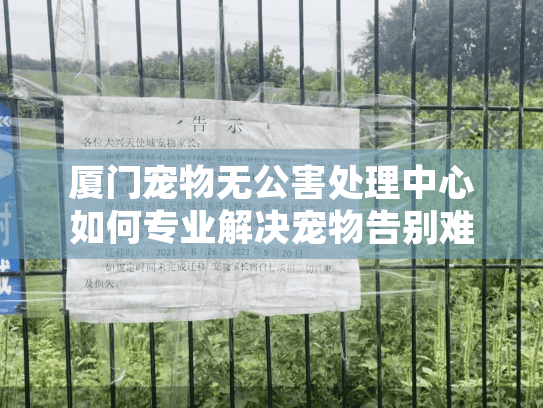 厦门宠物无公害处理中心如何专业解决宠物告别难题？