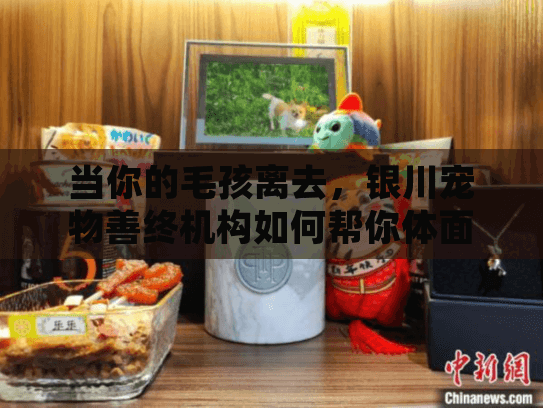 当你的毛孩离去，银川宠物善终机构如何帮你体面告别？