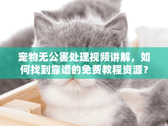 宠物无公害处理视频讲解，如何找到靠谱的免费教程资源？