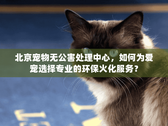 北京宠物无公害处理中心，如何为爱宠选择专业的环保火化服务？