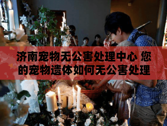 济南宠物无公害处理中心 您的宠物遗体如何无公害处理？