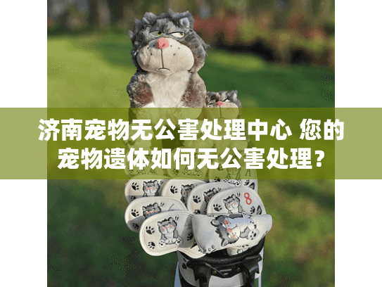 济南宠物无公害处理中心 您的宠物遗体如何无公害处理？