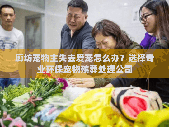 廊坊宠物主失去爱宠怎么办？选择专业环保宠物殡葬处理公司