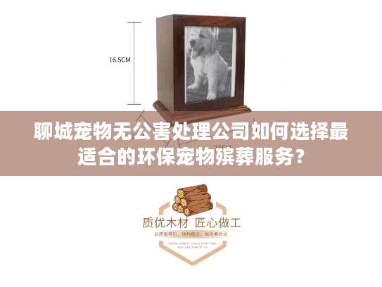 聊城宠物无公害处理公司如何选择最适合的环保宠物殡葬服务？