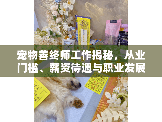 宠物善终师工作揭秘，从业门槛、薪资待遇与职业发展路径详解